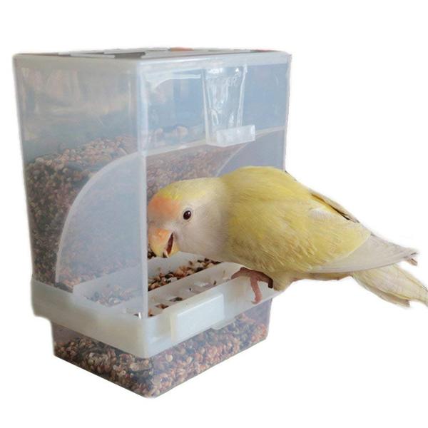 Imagem de Alimentador automático de pássaros Hypeety No Mess for Budgerigar Canary