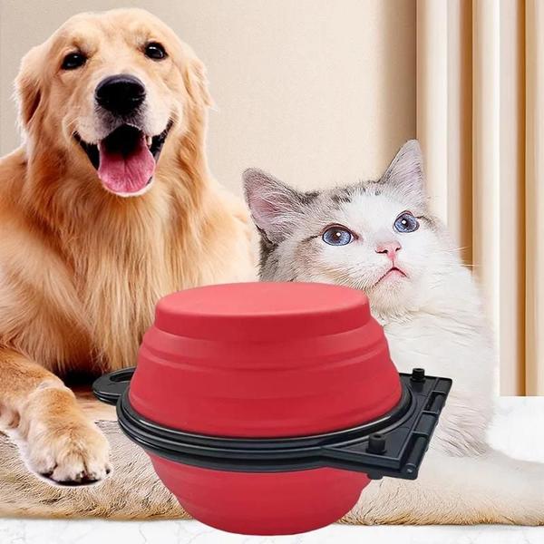 Imagem de Alimentador de Viagem Dobrável para Cães e Gatos - Tigela Dupla 2 em 1