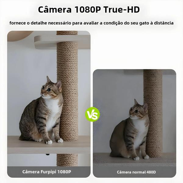 Imagem de Alimentador Inteligente Para Gatos 8L Com Câmera 1080p 5G WiFi Dispensador De Comida Para Animais De