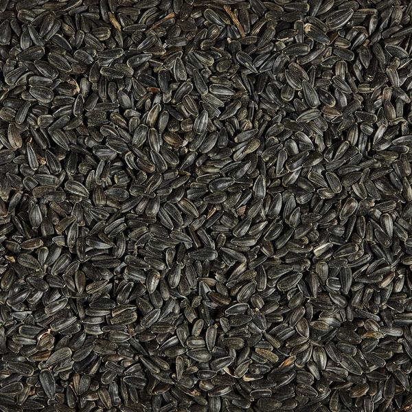 Imagem de Alimento para pássaros Kaytee Wild Black Oil Girassol 2,27 kg