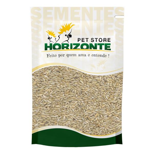 Imagem de Alpiste 1kg - Horizonte Pet Store - Semente Limpa Selecionada para Pássaros Canários Curió Periquito