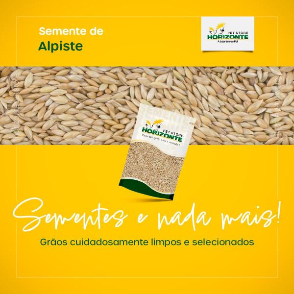 Alpiste Pacote de 5kg - Horizonte Pet Store - Semente Limpa para Pássaros 100% Puro e Selecionado Imagem de Alpiste Pacote de 5kg - Horizonte Pet Store - Semente Limpa para Pássaros 100% Puro e Selecionado
