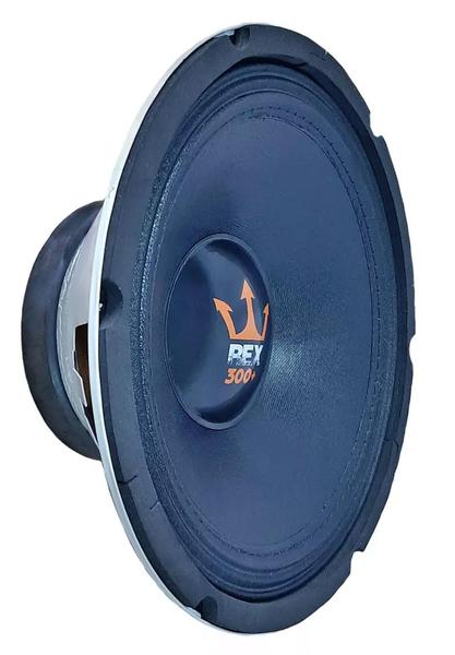 Imagem de Alto Falante Woofer Magnum Rex Power 300+ 10 Pol 300 W Rms