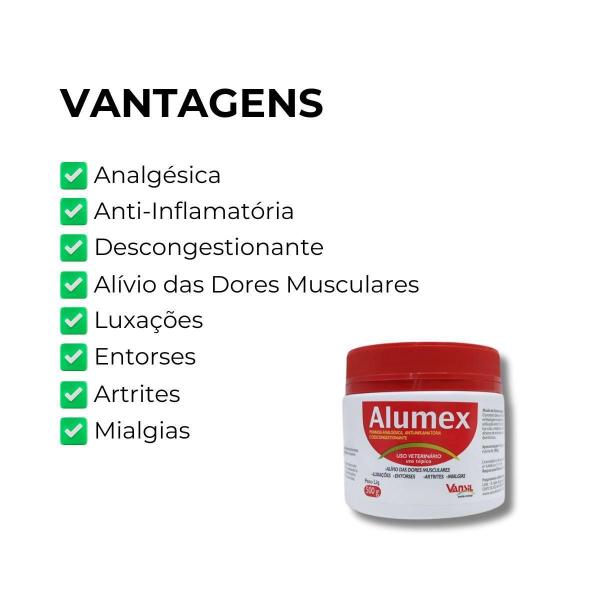 Imagem de Alumex Pomada Analgesica 500G Vansil