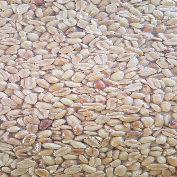 amendoim sem pele torrado salgado 1kg - De Cicco Produtos Naturais Imagem de amendoim sem pele torrado salgado 1kg