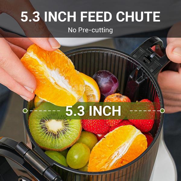 Imagem de AMZCHEF Juicer Automático Masticating 250W com Abertura de 135mm (Prata)