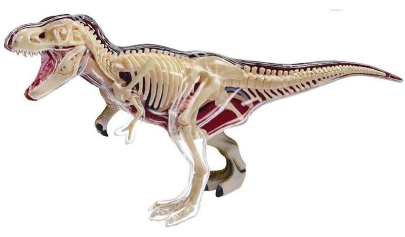 Anatomia do Tiranossauro Rex - 4D Master Imagem de Anatomia do Tiranossauro Rex