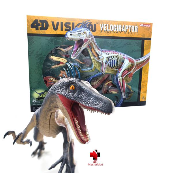 Imagem de Anatomia do Velociraptor