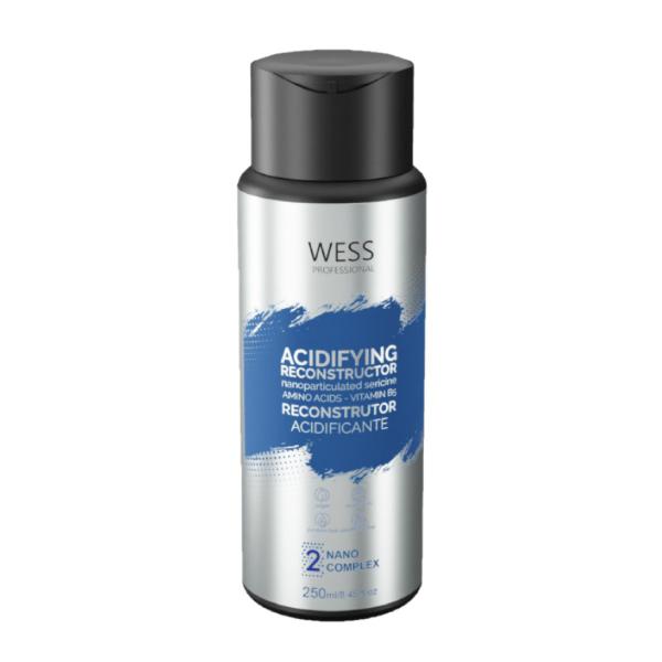 Imagem de Aneethun Blond Silver Shampoo 300ml+Wess Kit Nano Sel. 250ml