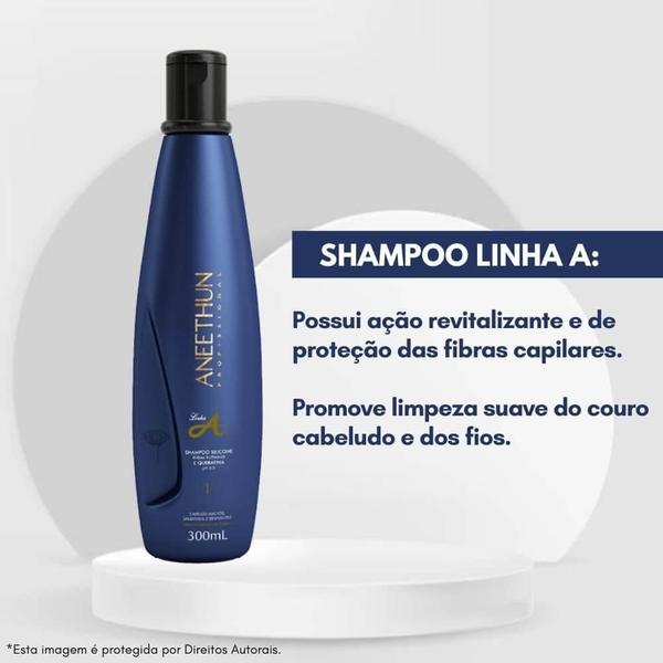 Imagem de Aneethun Linha A Shampoo 300ml