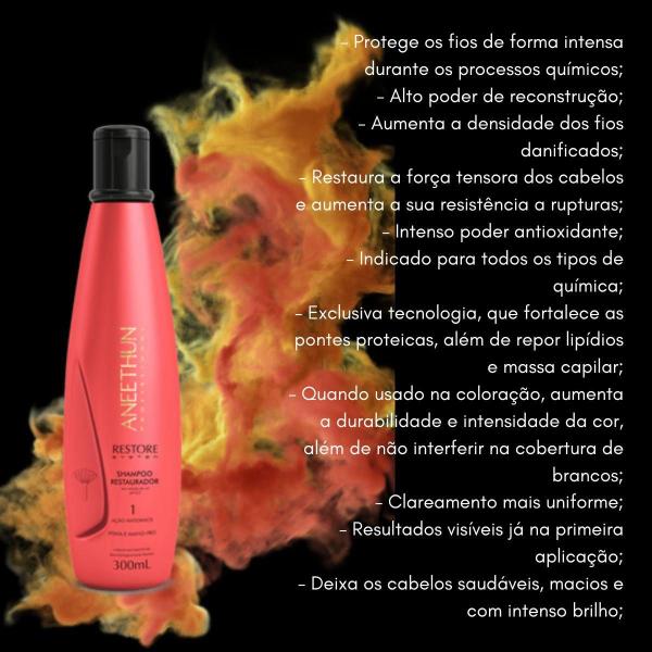 Imagem de Aneethun Restore Shampoo Restaurador 300ml