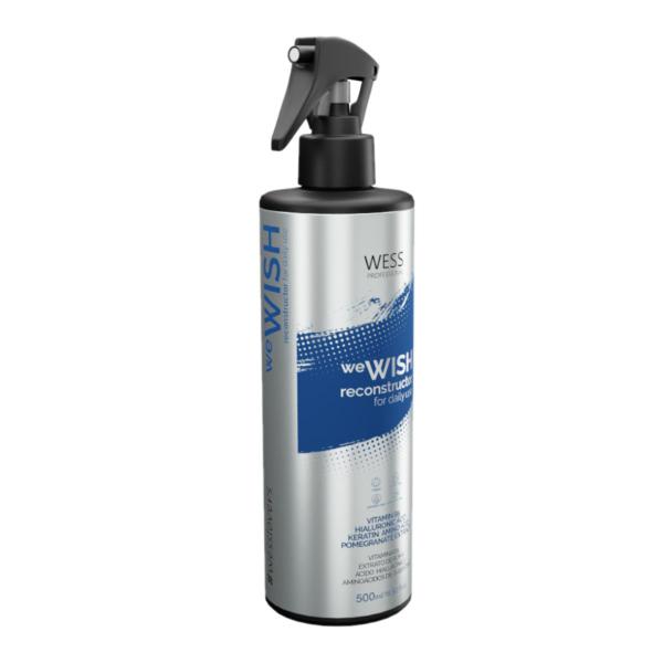 Imagem de Aneethun Shampoo Force System 300ml+Wess We Wish 500ml