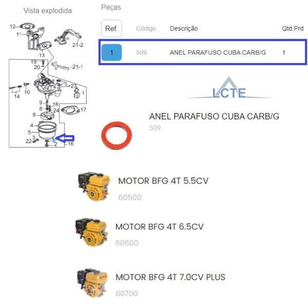 Imagem de Anel Do Parafuso Da Cuba Do Carburador Motor 5.5hp Buffalo