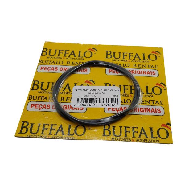 Anel O-Ring Filtro P/ Placas Vibrátorias BFG 100/ 125 Rental - Buffalo Imagem de Anel O-Ring Filtro P/ Placas Vibrátorias BFG 100/ 125 Rental