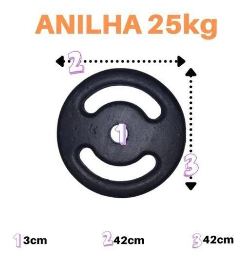 Imagem de Anilha 25Kg Super Premium Ferro Fundido Pintada Academia