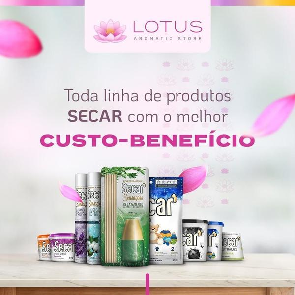 Imagem de Anti Mofo Secar Closet 18X250G - Lavanda