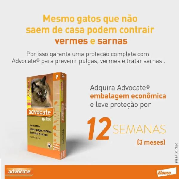 Imagem de Antipulgas Advocate Gatos 4 a 8 Kg com 3 Pipetas 0,8ml