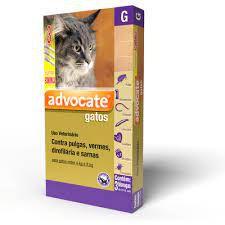 Imagem de Antipulgas Advocate Gatos entre 4 e 8kg 1 pipeta