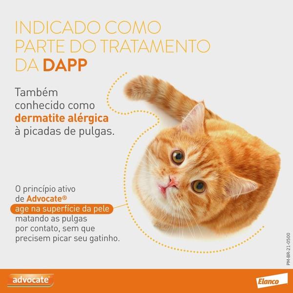 Imagem de Antipulgas Advocate Para Gatos De 4 A 8 Kg Combo 3 Pipetas