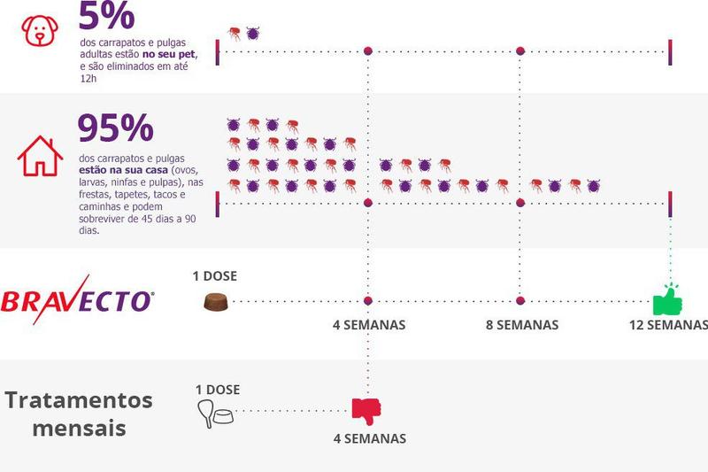 Imagem de Antipulgas Bravecto Cães 2 - 4,5kg