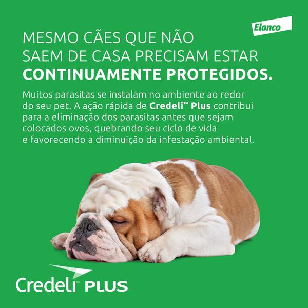 Imagem de Antipulgas Credeli Plus Cães 22Kg A 45Kg 1 Comprimido