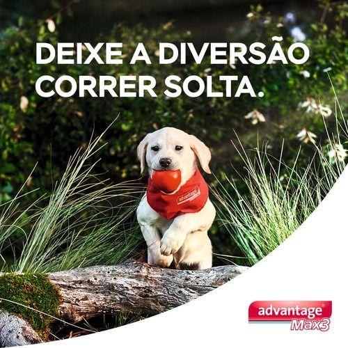 Imagem de Antipulgas E Carrapatos  Advantage Max3  Cães De 10 A 25kg