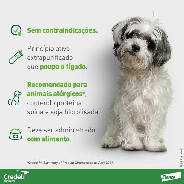 Imagem de Antipulgas e Carrapatos Elanco Credeli Lotilaner para Cães de 5,5 a 11 Kg - 1 Comprimido