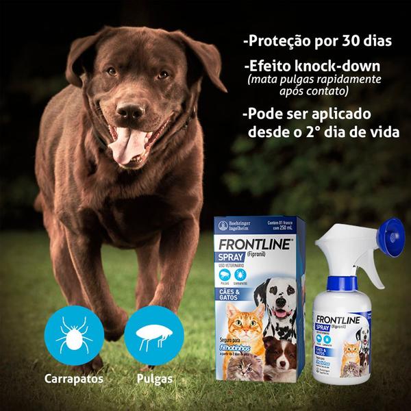 Imagem de Antipulgas e Carrapatos Frontline Spray Cães e Gatos