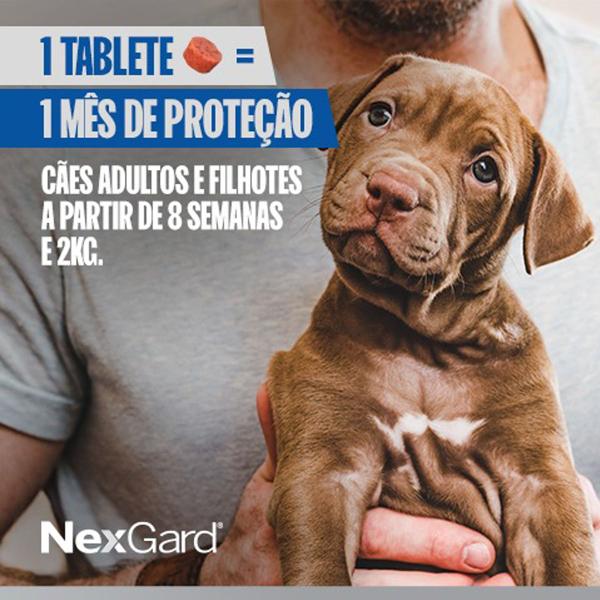 Imagem de Antipulgas e carrapatos nexgard para cachorros de 4 á 10 kg 01 comprimido