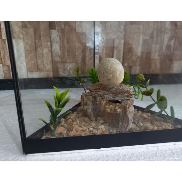 Imagem de Aquario Beteira Triangular Peixe Betta decorado pedrinhas e planta artificial