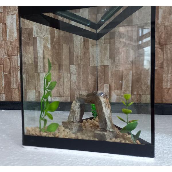 Imagem de Aquario Beteira Triangular Peixe Betta decorado pedrinhas e planta artificial