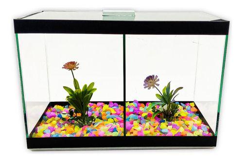 Imagem de Aquário N3 Duplo Com Divisão Decorado 30x15x20 8,5l 2 Peixes