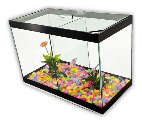 Imagem de Aquário N3 Duplo Com Divisão Decorado 30x15x20 8,5l 2 Peixes