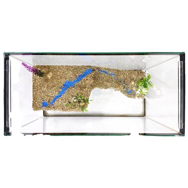 Imagem de Aquário Terrário Plataforma Decorado 40cm 18lts