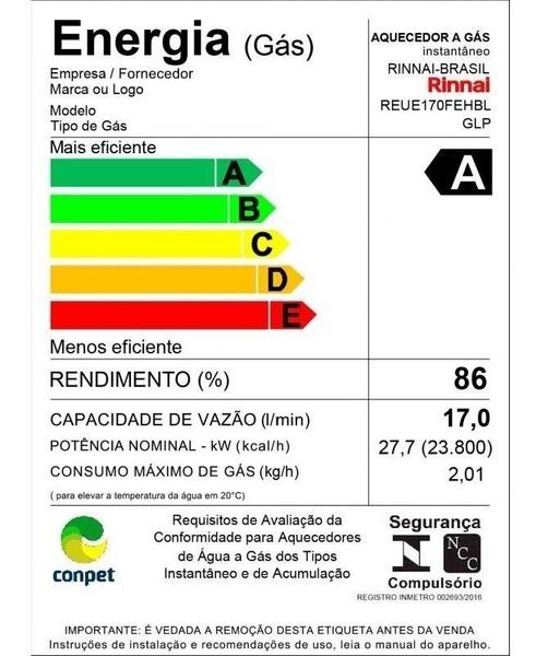 Imagem de Aquecedor De Água a Gás Rinnai REU E171 FEH 17 Litros Prata