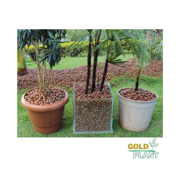 Imagem de Argila Expandida Drenagem Decoração 20 litros Modelo 3222 - Gold Plant