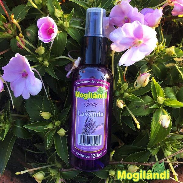 Imagem de Aromatizante Mogilandi Spray 120ml Lavanda