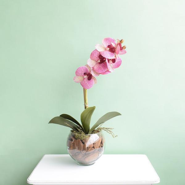 Arranjo Artificial de Orquídea Rosa 3D no Vaso de Vidro Pequeno Formosinha Imagem de Arranjo Artificial de Orquídea Rosa 3D no Vaso de Vidro Pequeno Formosinha