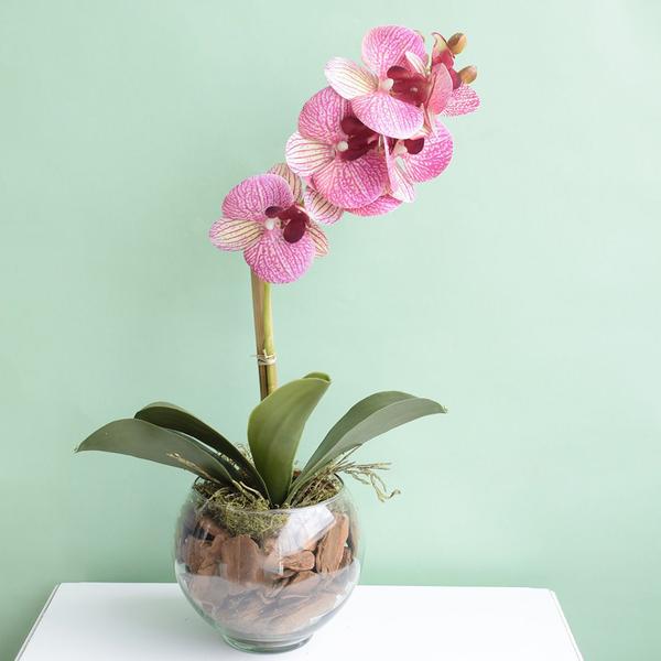 Arranjo Artificial de Orquídea Rosa 3D no Vaso de Vidro Pequeno Formosinha Imagem de Arranjo Artificial de Orquídea Rosa 3D no Vaso de Vidro Pequeno Formosinha