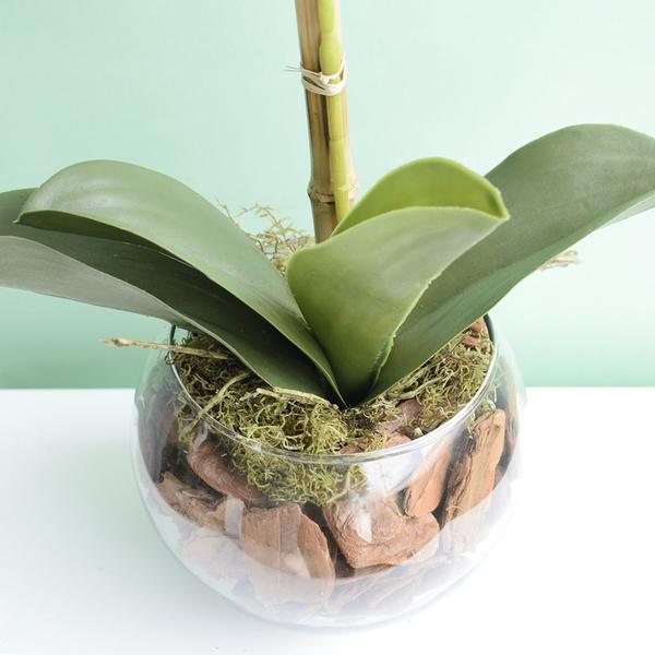 Arranjo Artificial de Orquídea Rosa 3D no Vaso de Vidro Pequeno Formosinha Imagem de Arranjo Artificial de Orquídea Rosa 3D no Vaso de Vidro Pequeno Formosinha