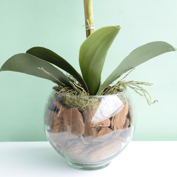 Arranjo Artificial de Orquídea Rosa 3D no Vaso de Vidro Pequeno Formosinha Imagem de Arranjo Artificial de Orquídea Rosa 3D no Vaso de Vidro Pequeno Formosinha