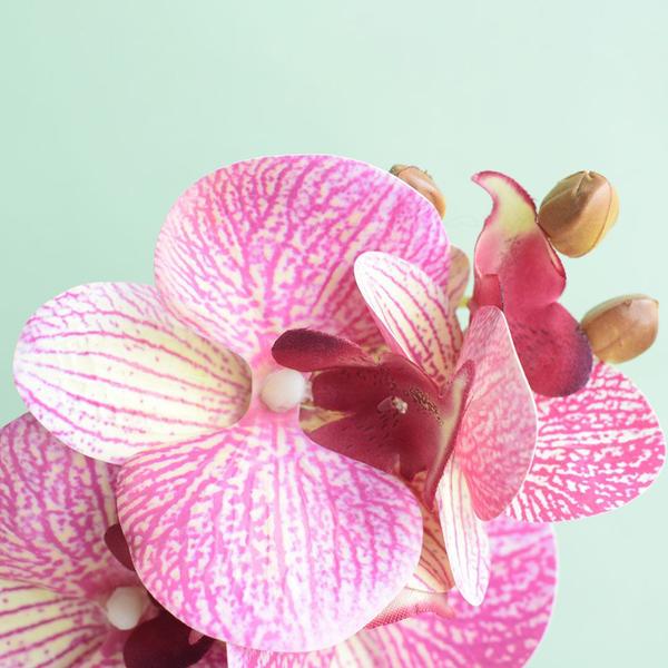 Arranjo Artificial de Orquídea Rosa 3D no Vaso de Vidro Pequeno Formosinha Imagem de Arranjo Artificial de Orquídea Rosa 3D no Vaso de Vidro Pequeno Formosinha