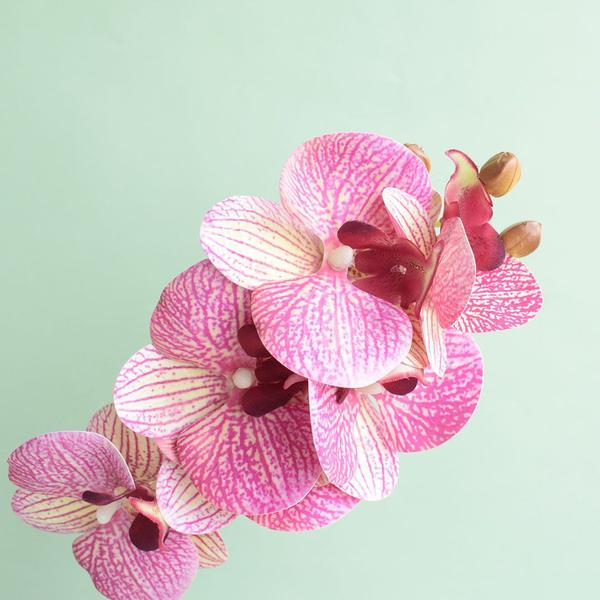 Arranjo Artificial de Orquídea Rosa 3D no Vaso de Vidro Pequeno Formosinha Imagem de Arranjo Artificial de Orquídea Rosa 3D no Vaso de Vidro Pequeno Formosinha