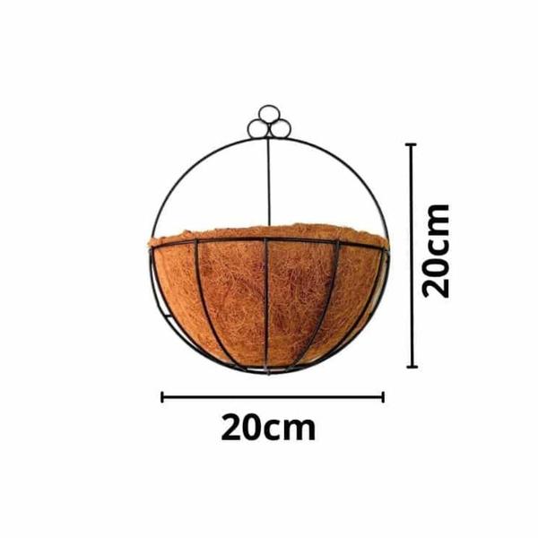 Imagem de Arranjo c/ 3 Trepadeira Folha Hera + Vaso Fibra de Coco 20cm