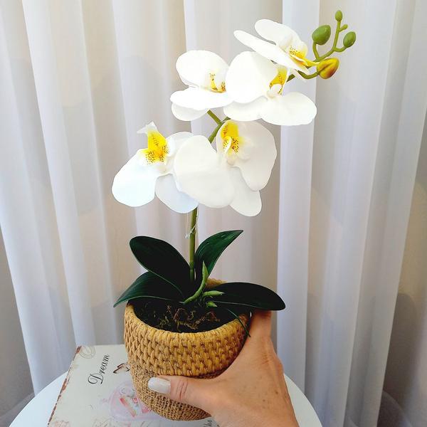 Imagem de Arranjo de cimento bege com orquídea branca 42ax20l/cm