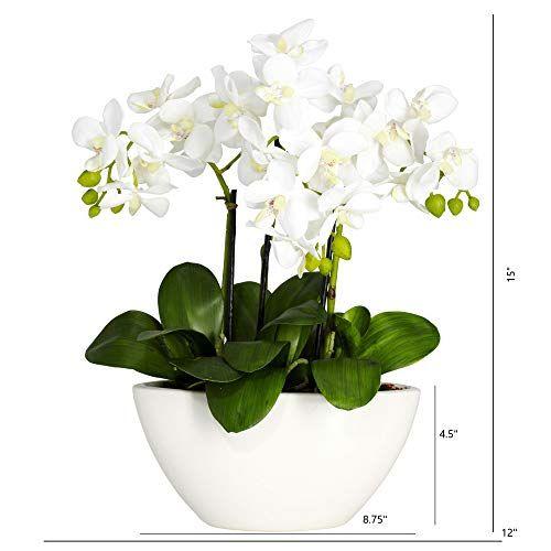 Imagem de Arranjo de Flores de Seda de 15in. Phalaenopsis