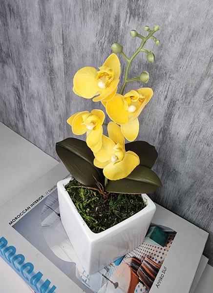 Imagem de Arranjo De Mini Orquídea Amarela Vaso Branco Quadrado