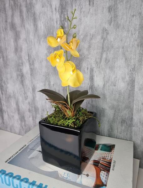 Imagem de Arranjo De Mini Orquídea Amarela Vaso Preto Quadrado