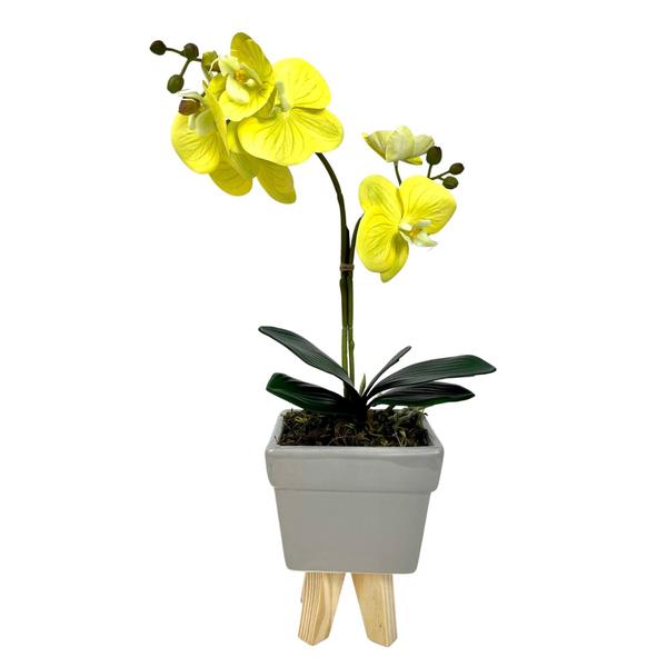 Arranjo De Orquídea Amarela Vaso Cinza 50Cm Inigual Imagem de Arranjo De Orquídea Amarela Vaso Cinza 50Cm Inigual