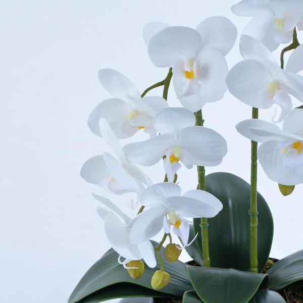 Imagem de Arranjo de Orquídea Artificial Branca em Terrário Pequeno Vivian